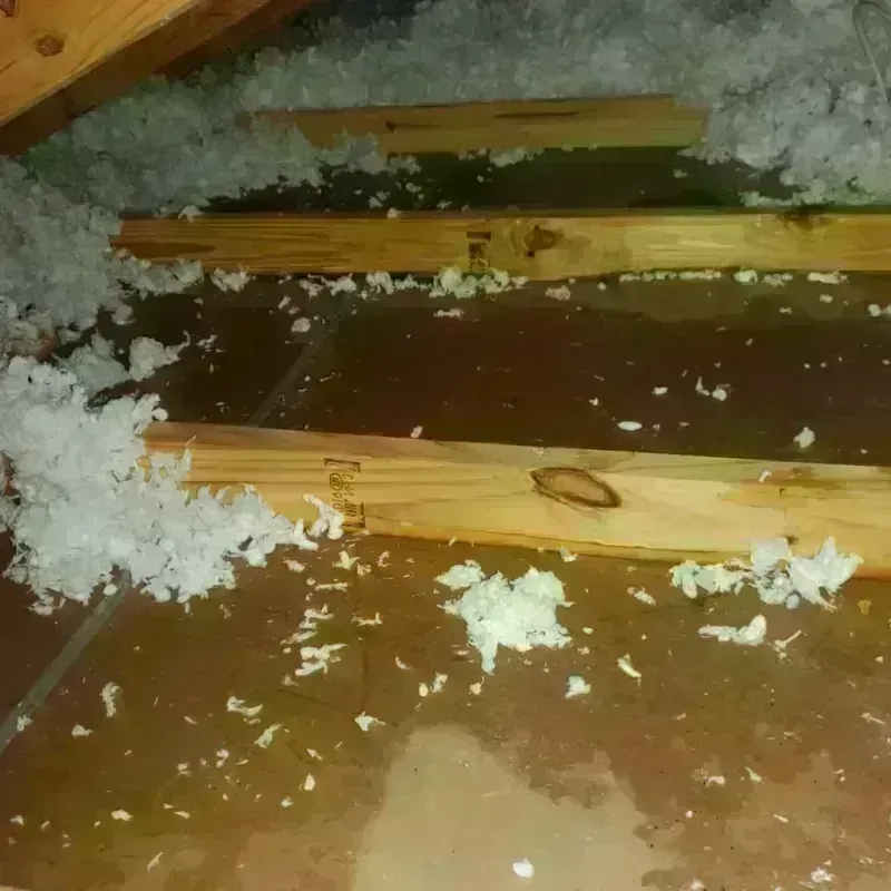 Attic Water Damage in Tenino, WA